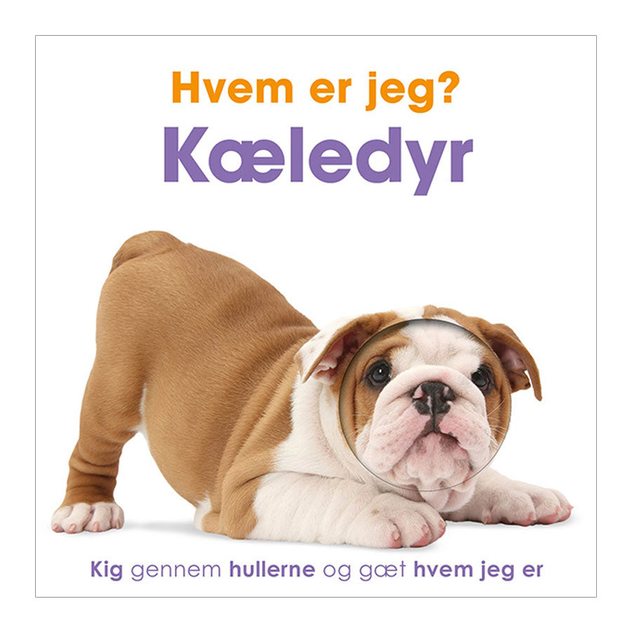 01_Hvem Er Jeg Kæledyr.jpg