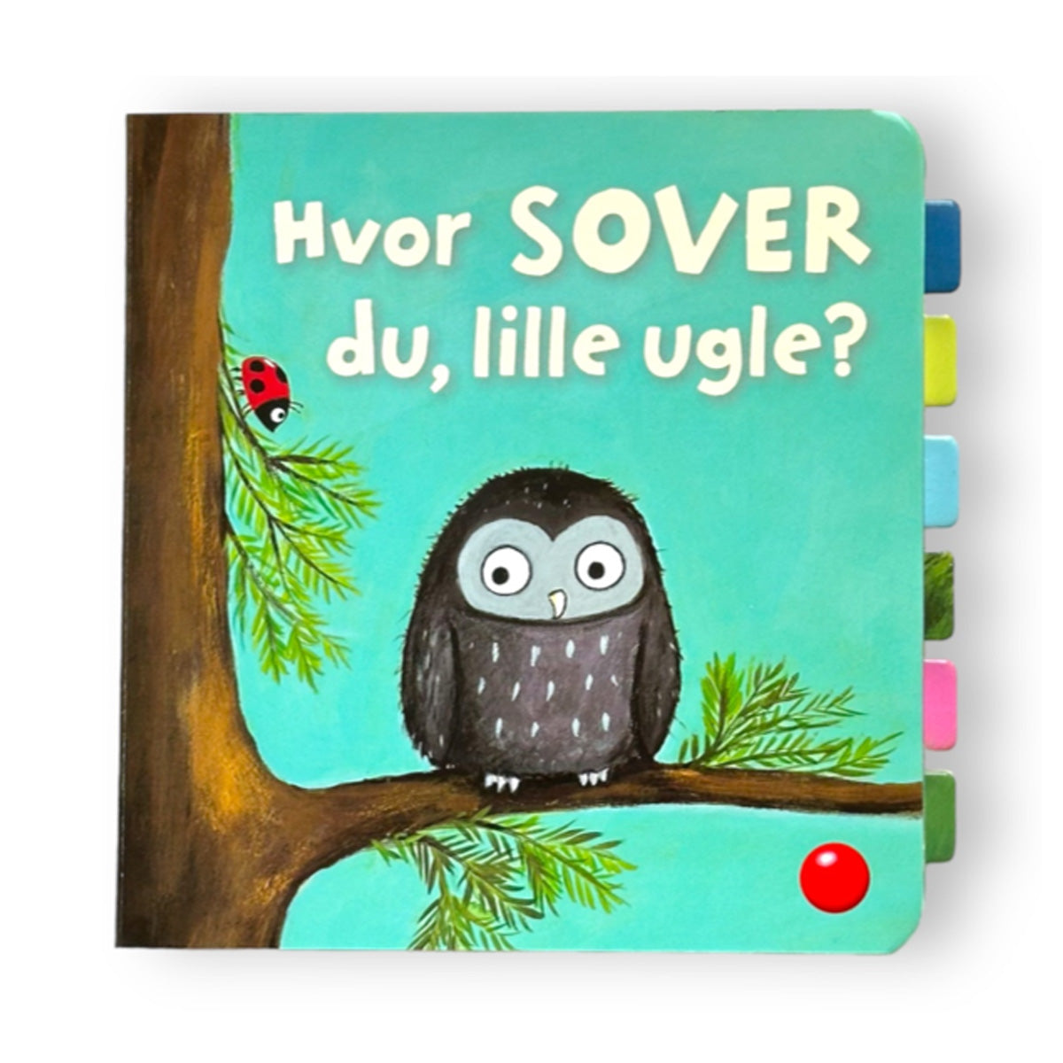 01_Hvor sover du lille ugle.jpg