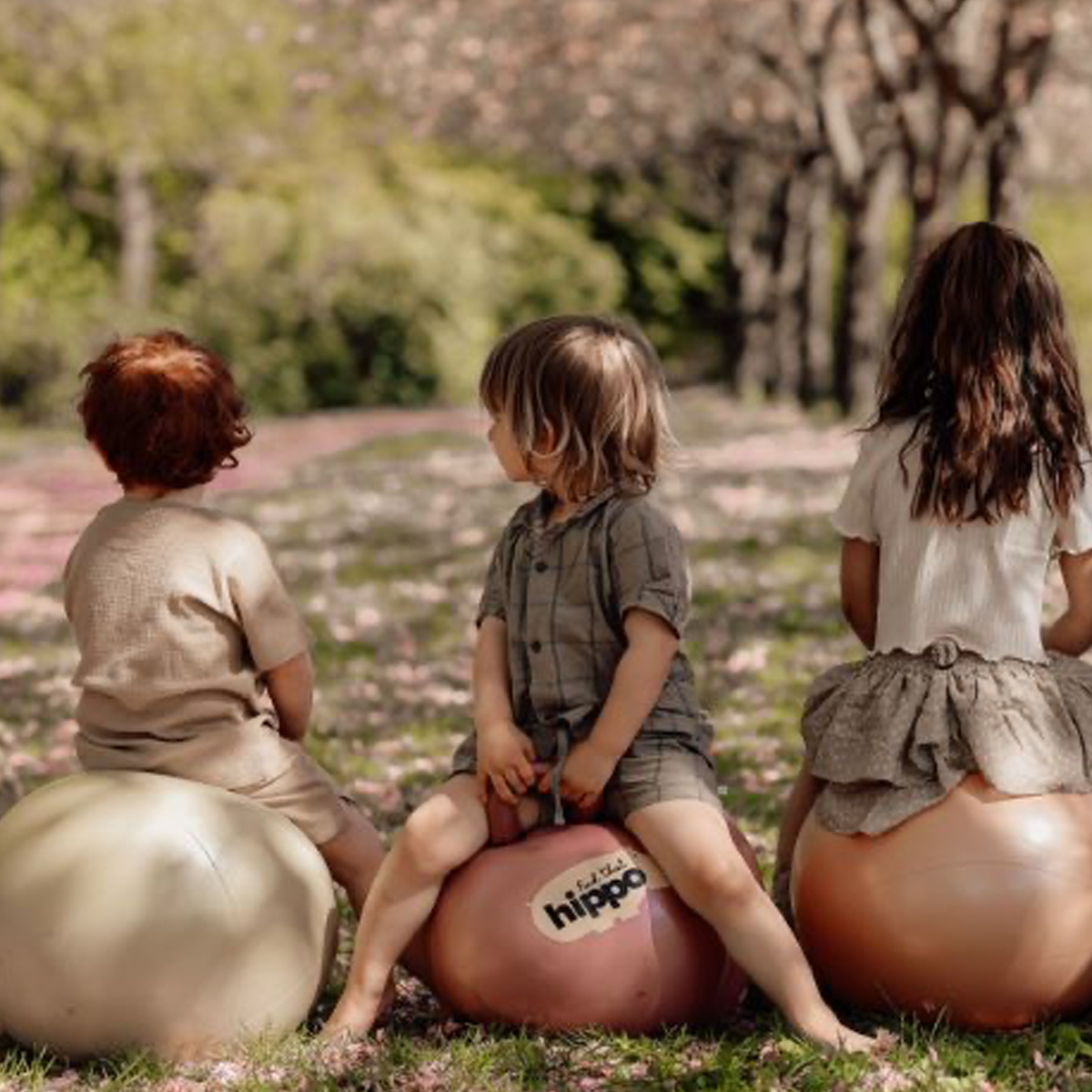 02_Find that hippo hoppebold, old gold .png