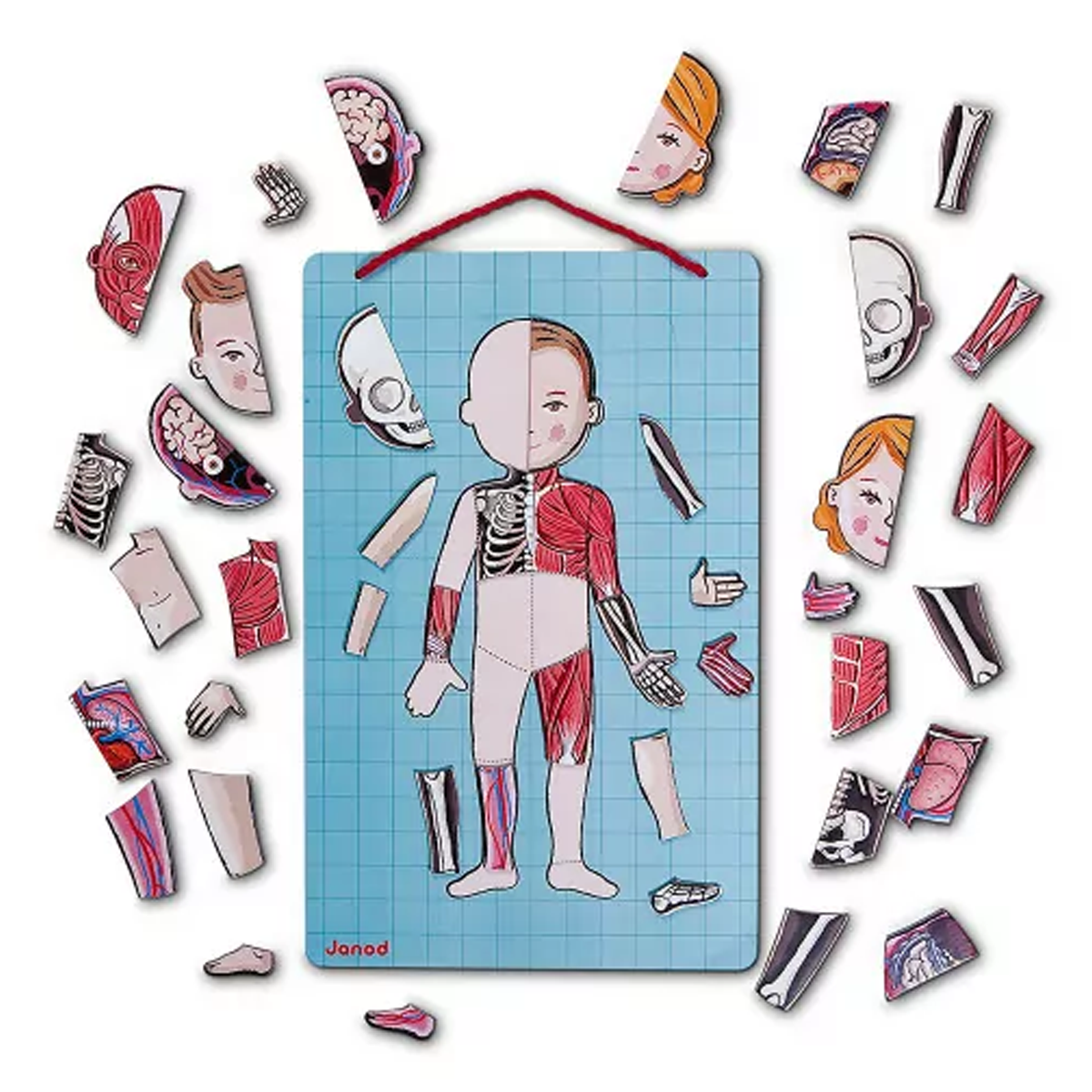 03_Janod kropsmagneter-5.png